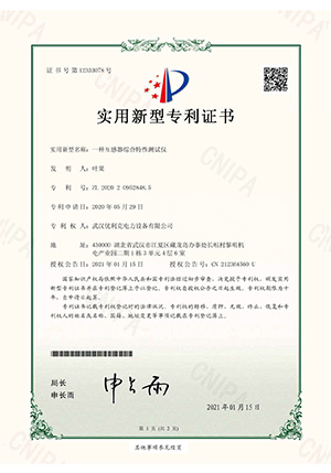 专利
